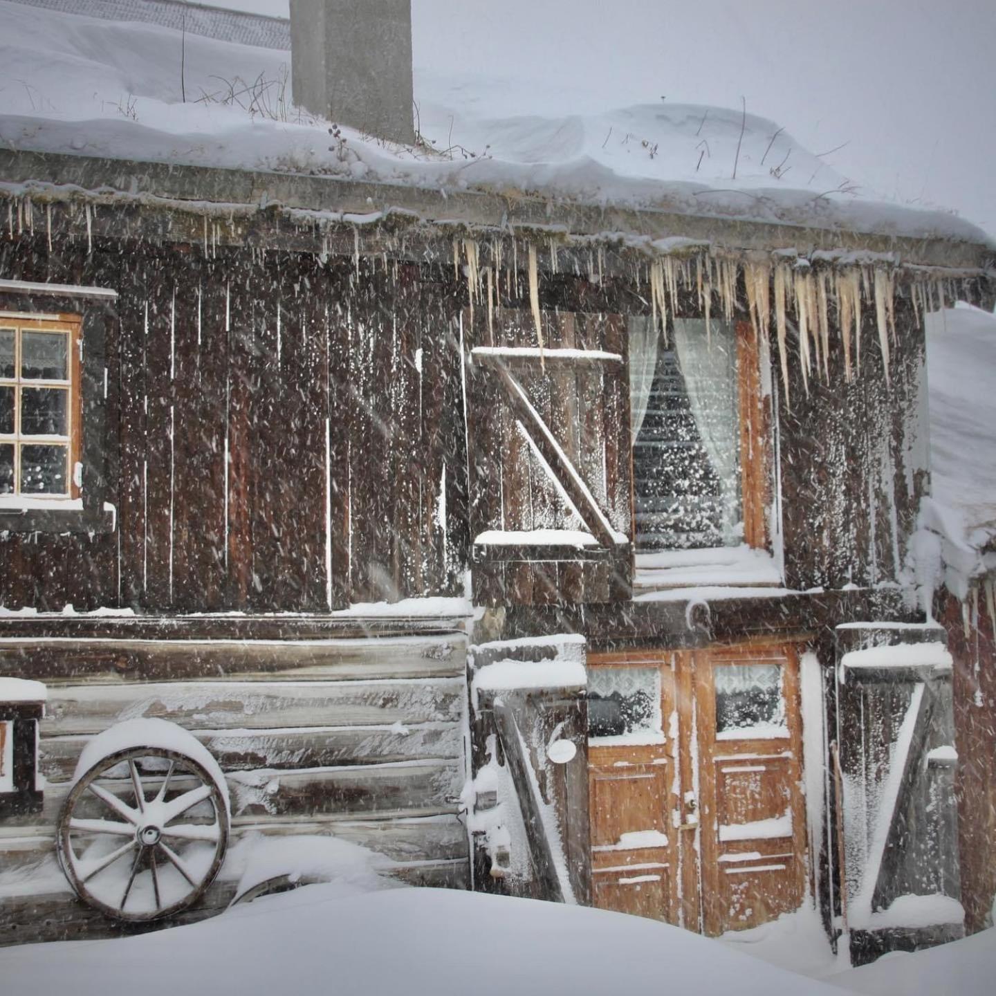 Villa Albyggarden Røros Exterior foto